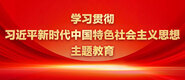 代替女儿被你干到爽学习贯彻习近平新时代中国特色社会主义思想主题教育_fororder_ad-371X160(2)